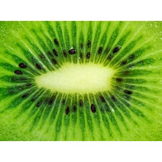 Väggabsorbent Kiwi 120x90 cm