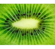 Väggabsorbent Kiwi 120x90 cm