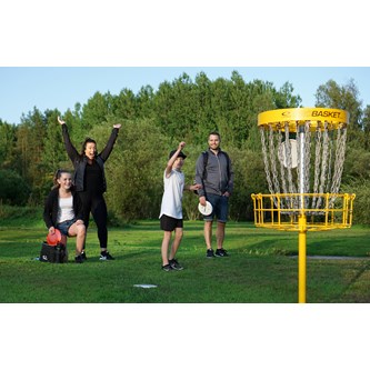 Discgolfmål Pro Basket Elite med fastgjutning