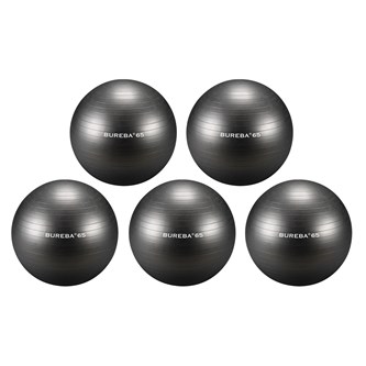 Terapiboll 55 cm, 5-pack