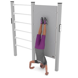 Workout Wall & Wall bars