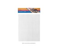 Plastcanvas 10-pack