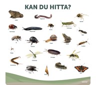 Utomhustavla: Kan du hitta?