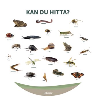 Utomhustavla: Kan du hitta?