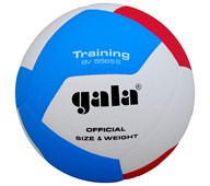 Gala volleyboll träning