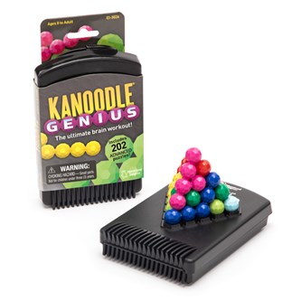 Kanoodle Genius Game