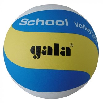 Gala School volleyboll