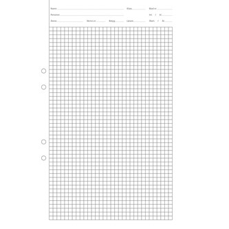 Provskrivningspapper enkel A4, rutor 5x5 mm