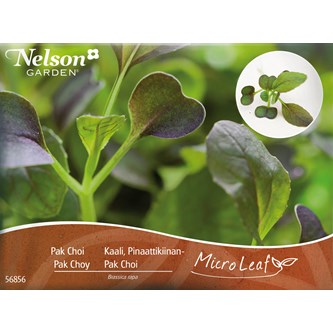 Micro sprouts frön MIX 1, 3-pack