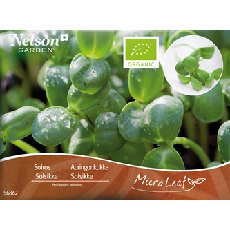 Micro sprouts frön MIX 1, 3-pack