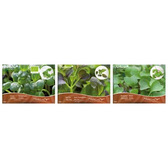 Micro sprouts frön MIX 1, 3-pack