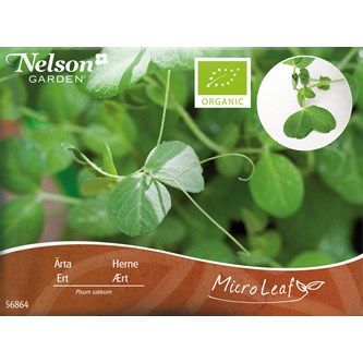 Micro sprouts frön MIX 2, 3-pack