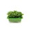 Micro sprouts frön MIX 2, 3-pack