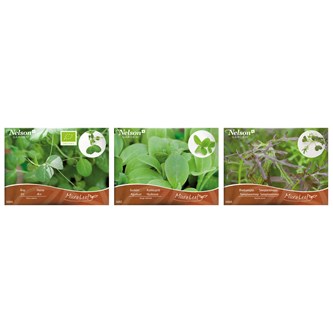 Micro sprouts frön MIX 2, 3-pack